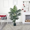 image:imageNearly Natural 5ft Kentia Palm Silk TreeGreen