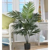 image:imageNearly Natural 5ft Kentia Palm Silk TreeGreen