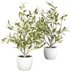 image:imageNearly Natural 18in Olive Silk Tree with Vase Set of 2