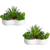 image:imageNearly Natural 5 in Artificial Succulent Garden White Planter Set of 25 in