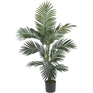 image:imageNearly Natural 5ft Kentia Palm Silk TreeGreen