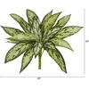 image:imageNearly Natural 10in Variegated Silver Queen Artificial Plant Set of 6