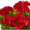 image:imageNearly Natural 11in Geranium Artificial Plant in Ceramic Planter UV Resistant IndoorOutdoorRed
