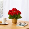 image:imageNearly Natural 11in Geranium Artificial Plant in Ceramic Planter UV Resistant IndoorOutdoorRed