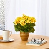image:imageNearly Natural 11in Geranium Artificial Plant in Ceramic Planter UV Resistant IndoorOutdoorYellow