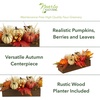 image:imageNearly Natural 16 Fall Harvest Pumpkins and Berries Artificial Arrangement
