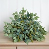 image:imageNearly Natural 20in Mixed Ficus and Fittonia Artificial Ledge Plant