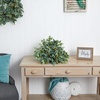 image:imageNearly Natural 20in Mixed Ficus and Fittonia Artificial Ledge Plant