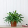 image:imageNearly Natural 22in Artificial Fern Plant in Decorative Planter