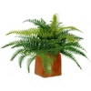 image:imageNearly Natural 22in Artificial Fern Plant in Decorative Planter