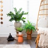 image:imageNearly Natural 22in Artificial Fern Plant in Decorative Planter
