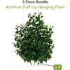 image:imageNearly Natural 24in UV Resistant Artificial Puff Ivy Hanging Plant IndoorOutdoor  Set of 341in