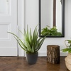 image:imageNearly Natural 26 in Artificial Aloe Plant with Pot Room Decor