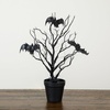 image:imageNearly Natural 2ft PreLit Black Spooky Twig Tree Halloween Decor1ft 4in