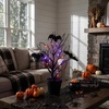 image:imageNearly Natural 2ft PreLit Black Spooky Twig Tree Halloween Decor1ft 4in