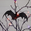 image:imageNearly Natural 2ft PreLit Black Spooky Twig Tree Halloween Decor2ft