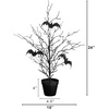 image:imageNearly Natural 2ft PreLit Black Spooky Twig Tree Halloween Decor2ft