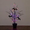 image:imageNearly Natural 2ft PreLit Black Spooky Twig Tree Halloween Decor2ft
