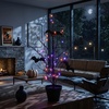 image:imageNearly Natural 2ft PreLit Black Spooky Twig Tree Halloween Decor2ft