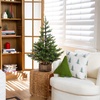 image:imageNearly Natural 3ft Artificial Balsam Fir Christmas Tree with Pine Cones in Jute Wire Planter