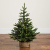 image:imageNearly Natural 3ft Artificial Balsam Fir Christmas Tree with Pine Cones in Jute Wire Planter