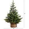 image:imageNearly Natural 3ft Artificial Balsam Fir Christmas Tree with Pine Cones in Jute Wire Planter