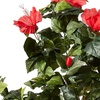 image:imageNearly Natural 4 ft Artificial Hibiscus Flowering Tree with Nursery Pot