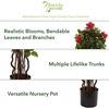 image:imageNearly Natural 4 ft Artificial Hibiscus Flowering Tree with Nursery Pot
