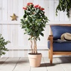 image:imageNearly Natural 4 ft Artificial Hibiscus Flowering Tree with Nursery Pot