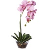 image:imageNearly Natural 4643WH Phalaenopsis with Glass Vase Decorative Silk Flower Arrangement White 29 x 1025 x 1025Purple