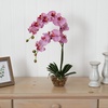 image:imageNearly Natural 4643WH Phalaenopsis with Glass Vase Decorative Silk Flower Arrangement White 29 x 1025 x 1025Purple