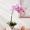 image:imageNearly Natural 4643WH Phalaenopsis with Glass Vase Decorative Silk Flower Arrangement White 29 x 1025 x 1025Purple