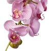 image:imageNearly Natural 4643WH Phalaenopsis with Glass Vase Decorative Silk Flower Arrangement White 29 x 1025 x 1025Purple