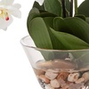 image:imageNearly Natural 4643WH Phalaenopsis with Glass Vase Decorative Silk Flower Arrangement White 29 x 1025 x 1025White