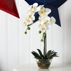 image:imageNearly Natural 4643WH Phalaenopsis with Glass Vase Decorative Silk Flower Arrangement White 29 x 1025 x 1025White