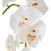 image:imageNearly Natural 4643WH Phalaenopsis with Glass Vase Decorative Silk Flower Arrangement White 29 x 1025 x 1025White