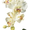 image:imageNearly Natural 4643WH Phalaenopsis with Glass Vase Decorative Silk Flower Arrangement White 29 x 1025 x 1025White