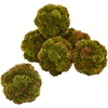 image:imageNearly Natural 4in Sedum Artificial Succulent Artificial Spheres Set of 6