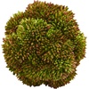 image:imageNearly Natural 4in Sedum Artificial Succulent Artificial Spheres Set of 6
