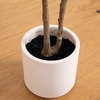 image:imageNearly Natural 5ft Minimalist Olive Tree  Artificial Indoor Tree with Faux Olives Bendable Branches and White Decorative Planter with Faux Soil  Realistic Greenery for Home or Office Decor