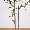 image:imageNearly Natural 5ft Minimalist Olive Tree  Artificial Indoor Tree with Faux Olives Bendable Branches and White Decorative Planter with Faux Soil  Realistic Greenery for Home or Office Decor