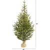 image:imageNearly Natural 5ft PreLit Fraser Fir Artificial Christmas Tree 200 LEDs