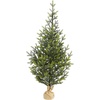 image:imageNearly Natural 5ft PreLit Fraser Fir Artificial Christmas Tree 200 LEDs