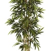 image:imageNearly Natural 6 ft Artificial Bamboo Tree with Natural Wood Trunks