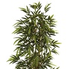 image:imageNearly Natural 6 ft Artificial Bamboo Tree with Natural Wood Trunks