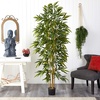 image:imageNearly Natural 6 ft Artificial Bamboo Tree with Natural Wood Trunks