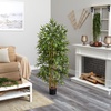 image:imageNearly Natural 64 in Artificial Bamboo Tree with 7 Natural Trunks