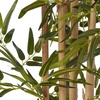 image:imageNearly Natural 64 in Artificial Bamboo Tree with 7 Natural Trunks