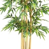 image:imageNearly Natural 64 in Artificial Bamboo Tree with 7 Natural Trunks