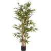 image:imageNearly Natural 64 in Artificial Bamboo Tree with 7 Natural Trunks